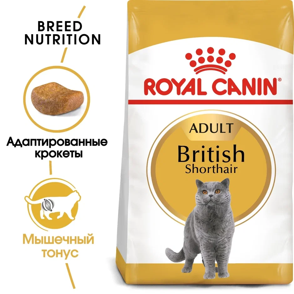Royal Canin British shorthair 10.0