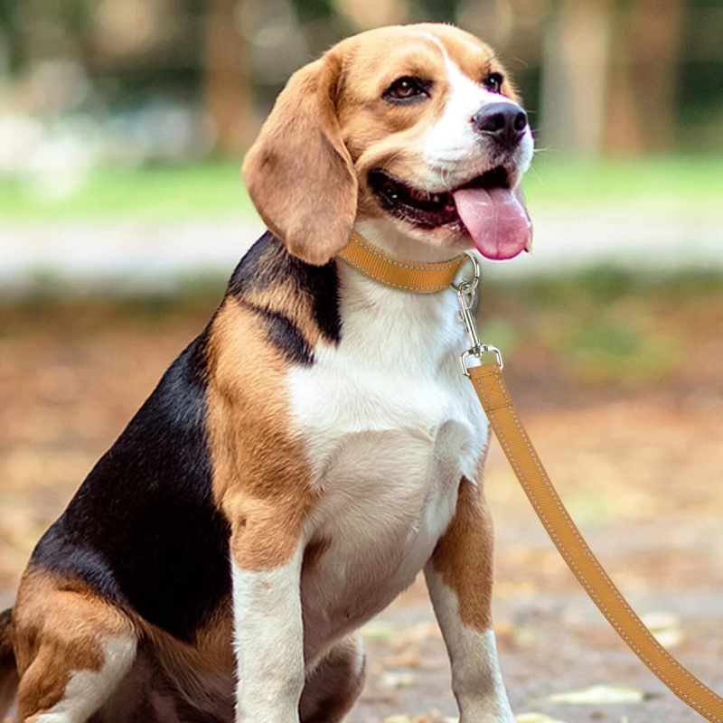 Поводок Nunbell Professional нейлон 20мм*110-120см Оранжевый с эргономичной ручкой и светоотр. нитью