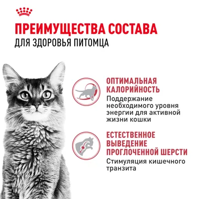 Royal Canin FIT 4кг
