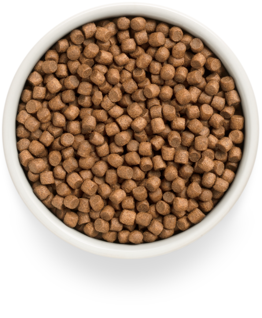 Grandorf FRESH для Щенков всех пород Ягненок с бататом 1кг