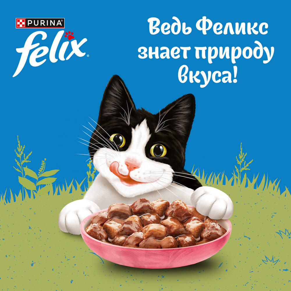 Влажный корм Felix Природа вкуса для взрослых кошек, с курицей в соусе, 75 г