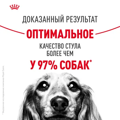 Royal Canin MEDIUM Digestive Care 3кг