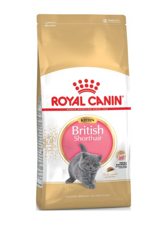 Royal Canin KITTEN British shorthair 0,4