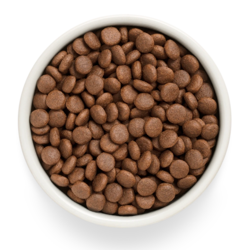 Grandorf FRESH для Собак средних и крупных пород Лосось с Бататом 3кг