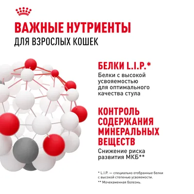 пауч Royal Canin INDOOR sterilised желе