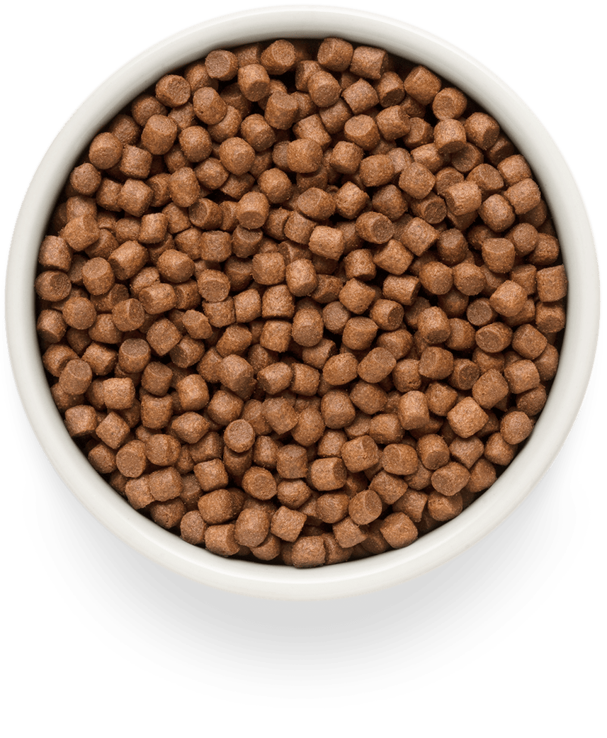 Grandorf FRESH для Собак мелких пород Лосось с бататом 1кг