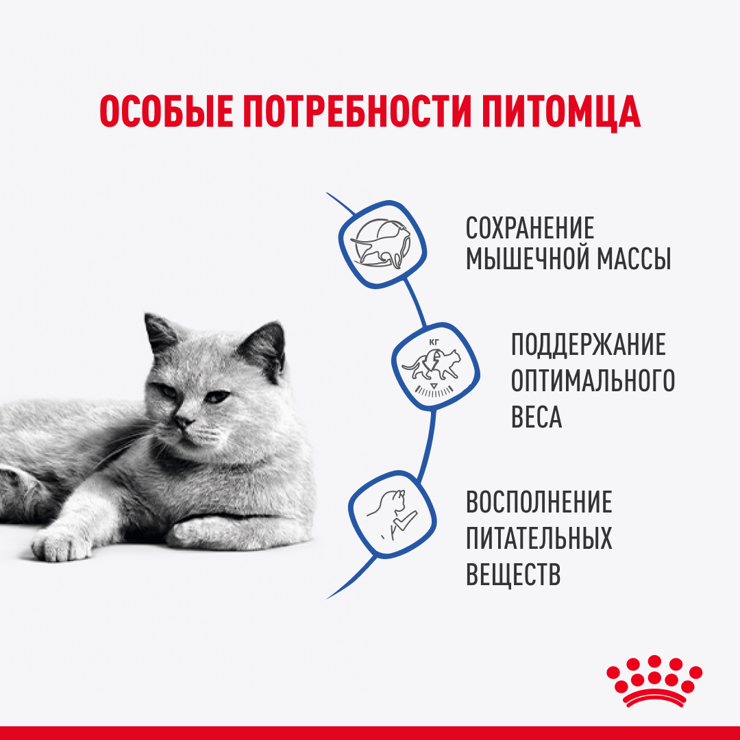 пауч Royal Canin LIGHT соус