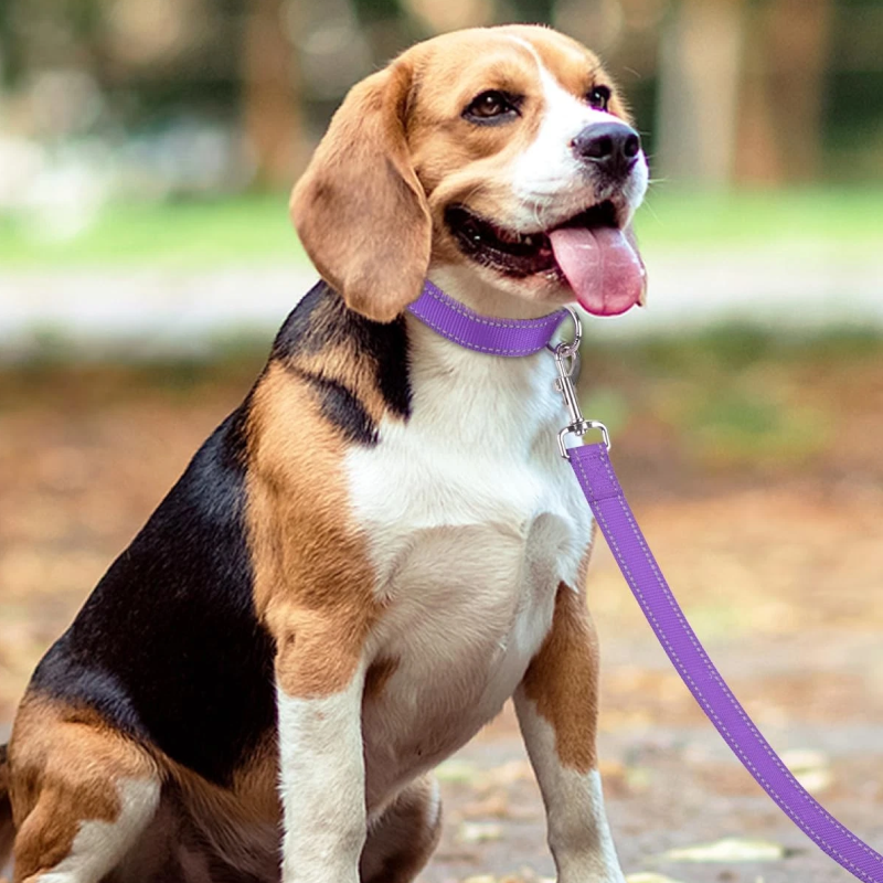 Поводок Nunbell Professional нейлон 20мм*110-120см Фиолетовый с эргономичной ручкой и светоотр. нить