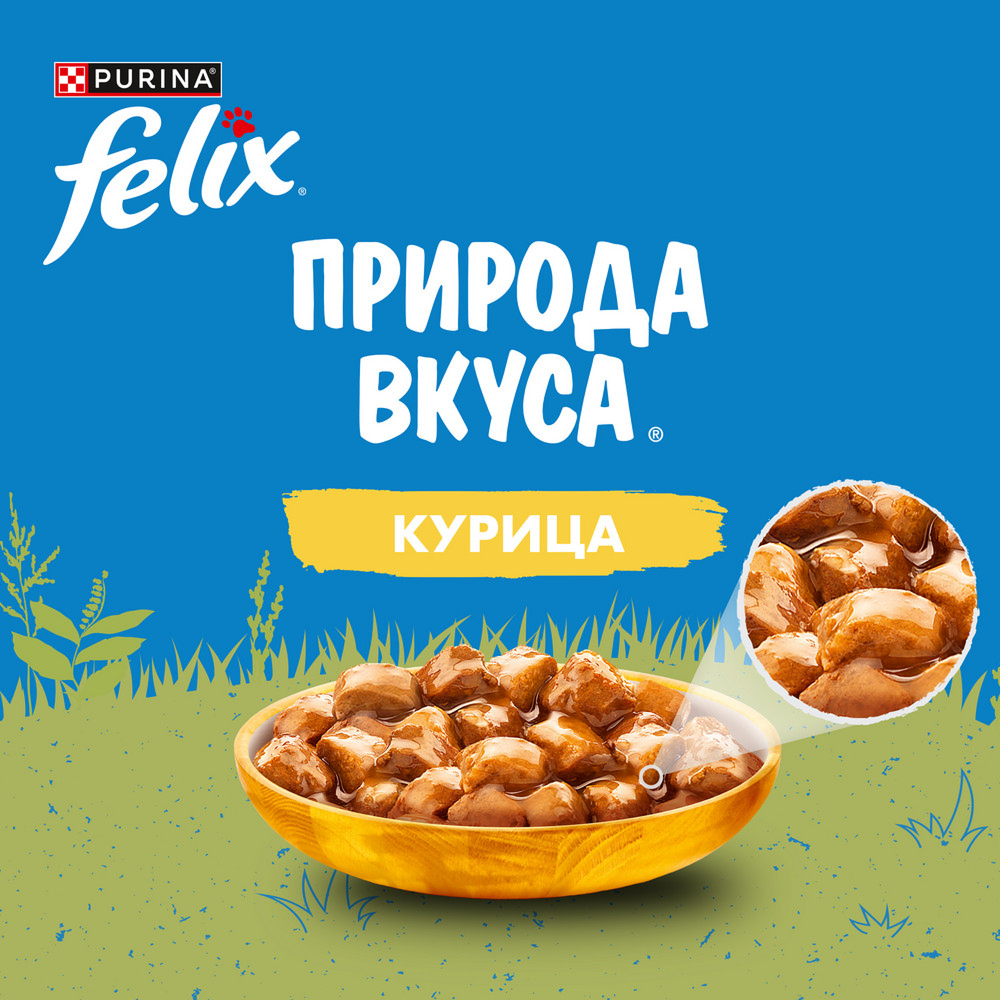 Влажный корм Felix Природа вкуса для взрослых кошек, с курицей в соусе, 75 г