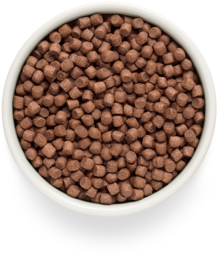 Grandorf FRESH для Собак мелких пород Ягненок с бататом 1кг