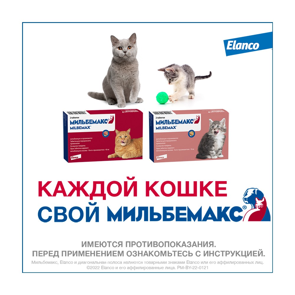 Мильбемакс для Кошек и Котят - 2таб.
