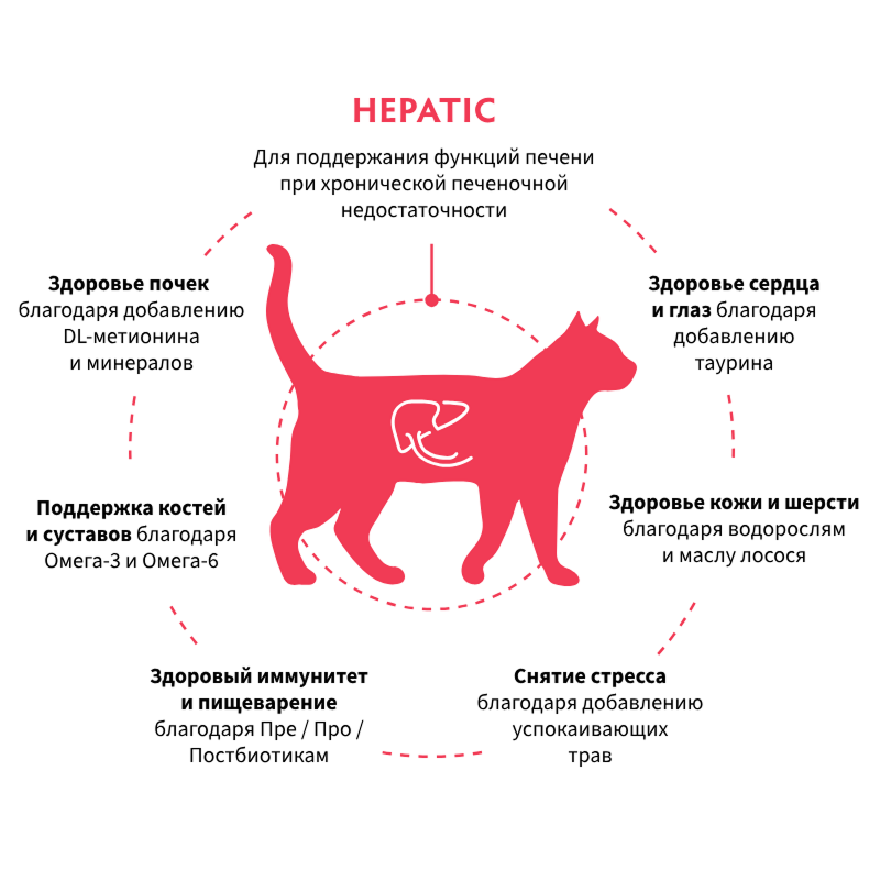 Grandorf Veterinary Diet Cat Hepatic 2кг для Кошек, для поддержания функции печени при ХПН