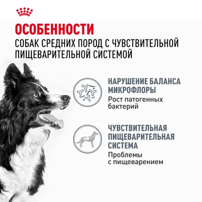 Royal Canin MEDIUM Digestive Care 3кг