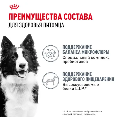 Royal Canin MEDIUM Digestive Care 3кг