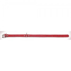 Ошейник Аркон 16мм*26-34см Красный