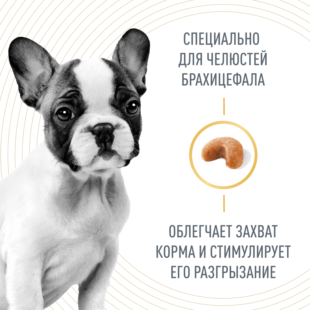 Royal Canin French Bulldog JUNIOR 10кг
