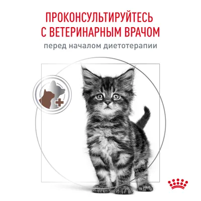 Royal Canin Gastro Intestinal Kitten 350г