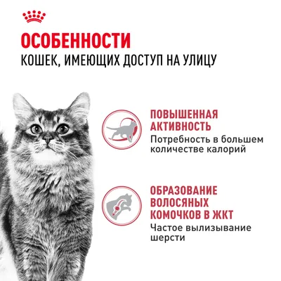 Royal Canin FIT 4кг