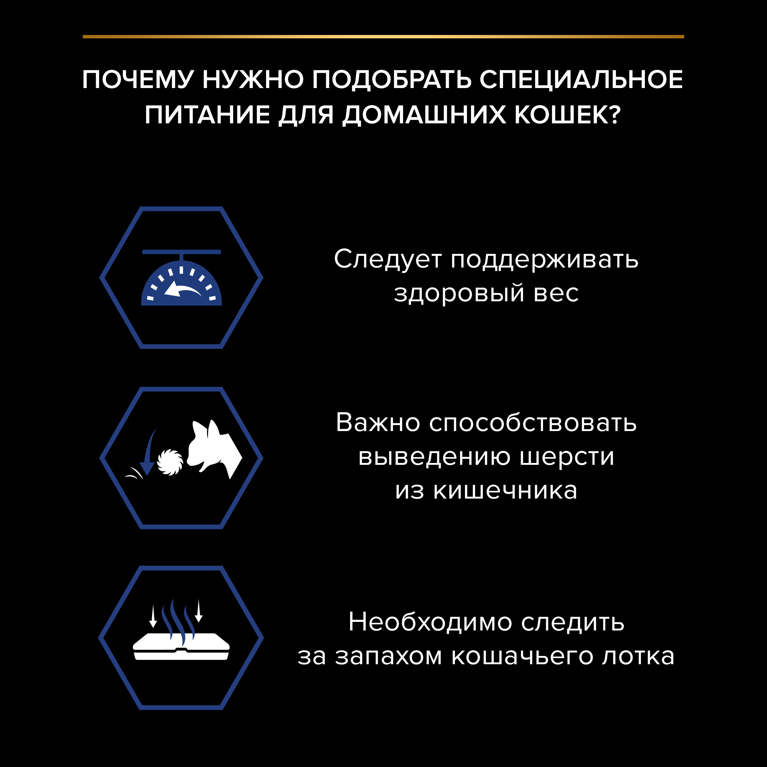 Влажный корм PRO PLAN Indoor Adult для кошек, живущих дома, с лососем в соусе, 85 г