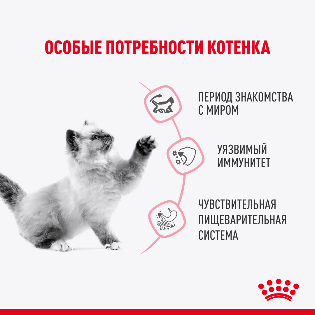 пауч Royal Canin Kitten Sterilised желе