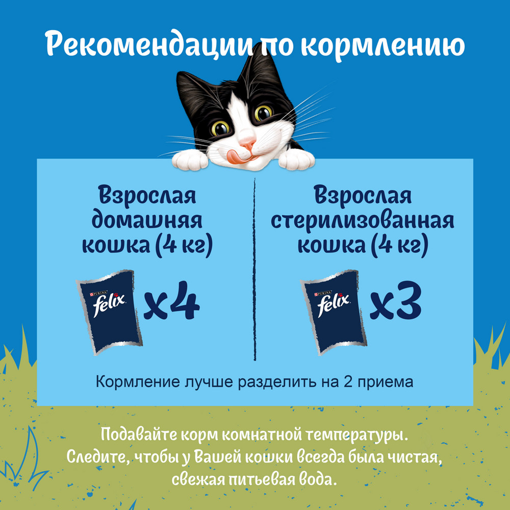 Влажный корм Felix Природа вкуса для взрослых кошек, с курицей в соусе, 75 г