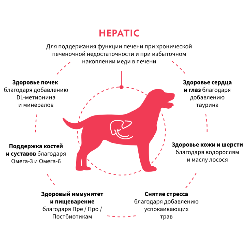 Grandorf Veterinary Diet Dog Hepatic 1кг для Собак, для поддержания функций печени при ХПН