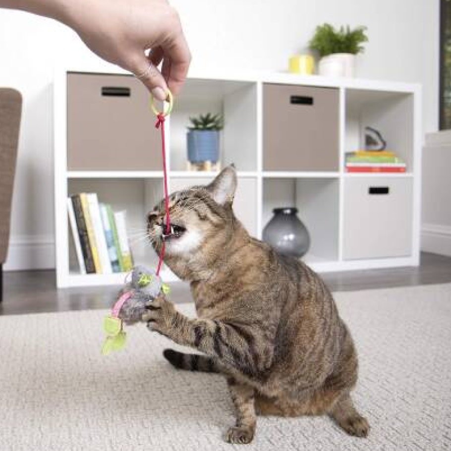 Игрушка TopPet для кошек Мышонок плюш с мехом на резинке с кольцом 13 см.