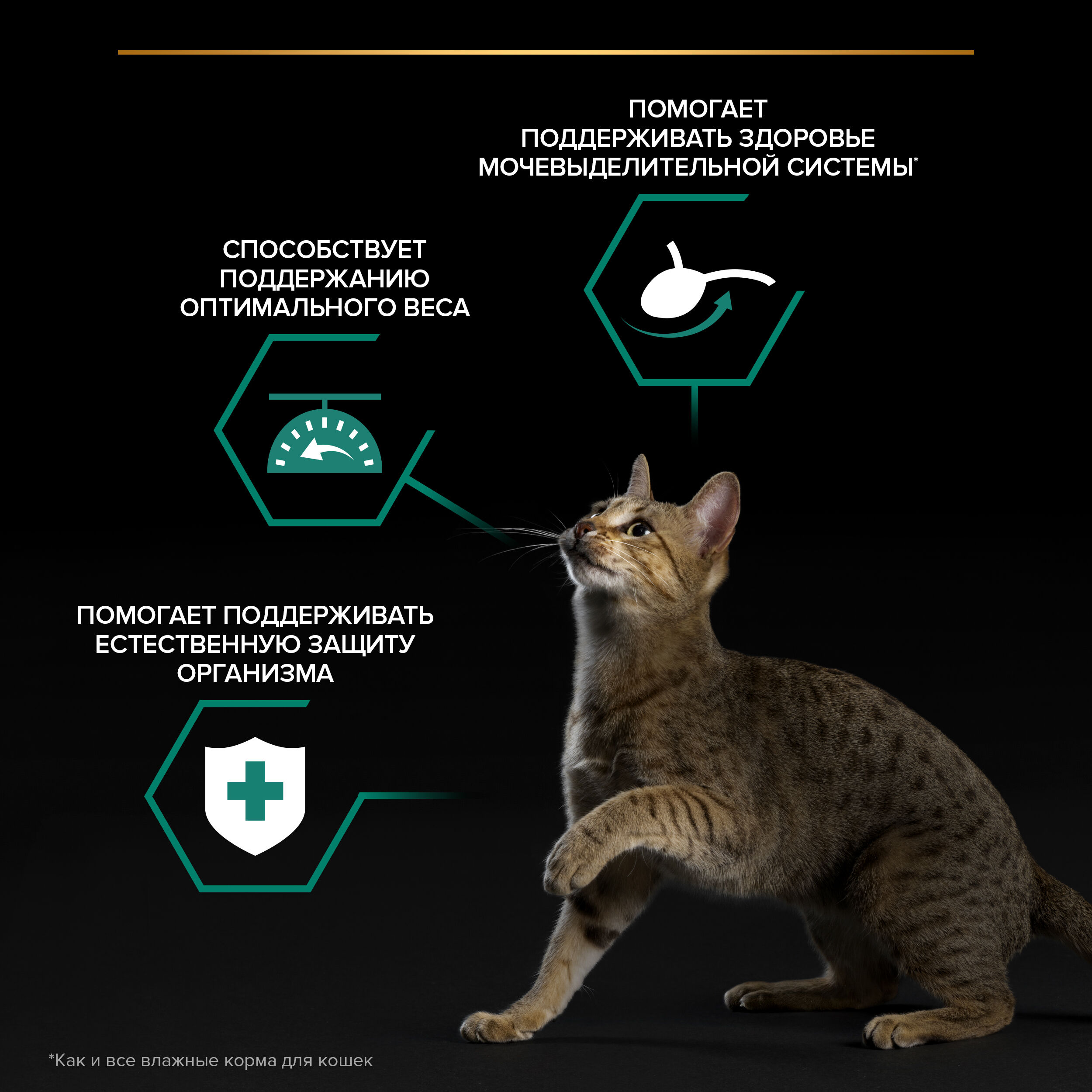 Влажный корм PRO PLAN Sterilised для стерилизованных кошек, в желе, с индейкой, 85 г 