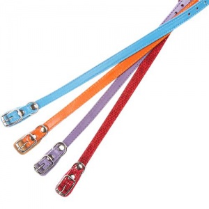 Ошейник 10 Строченый Цветной О 10 03 00 Ц