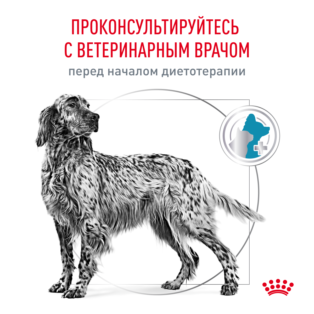 Royal Canin SENSITIVITY control 1,5кг (DOG Veterinary)