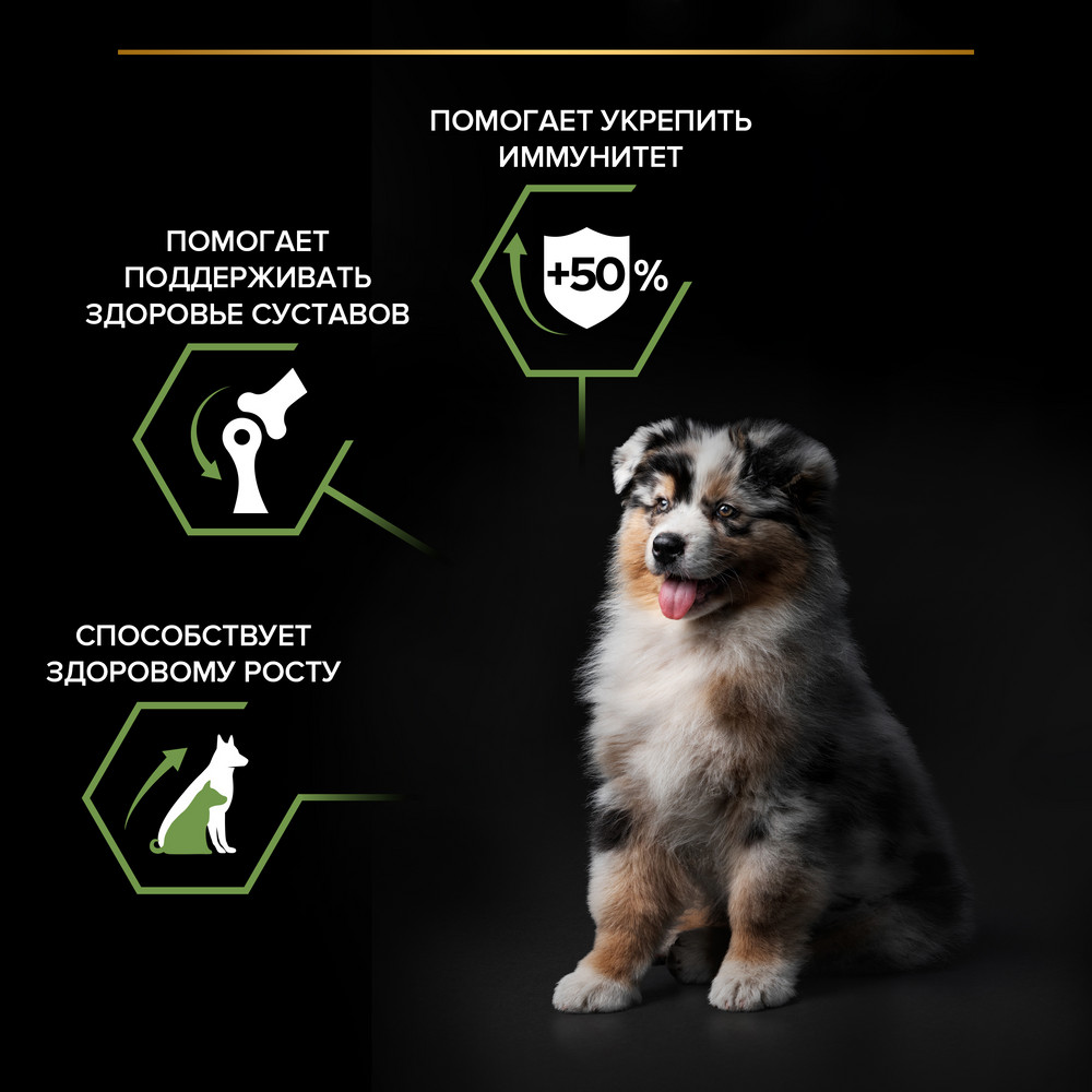 Сухой корм PRO PLAN для щенков средних пород, с курицей, 12 кг