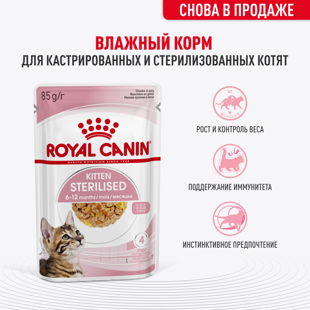 пауч Royal Canin Kitten Sterilised желе