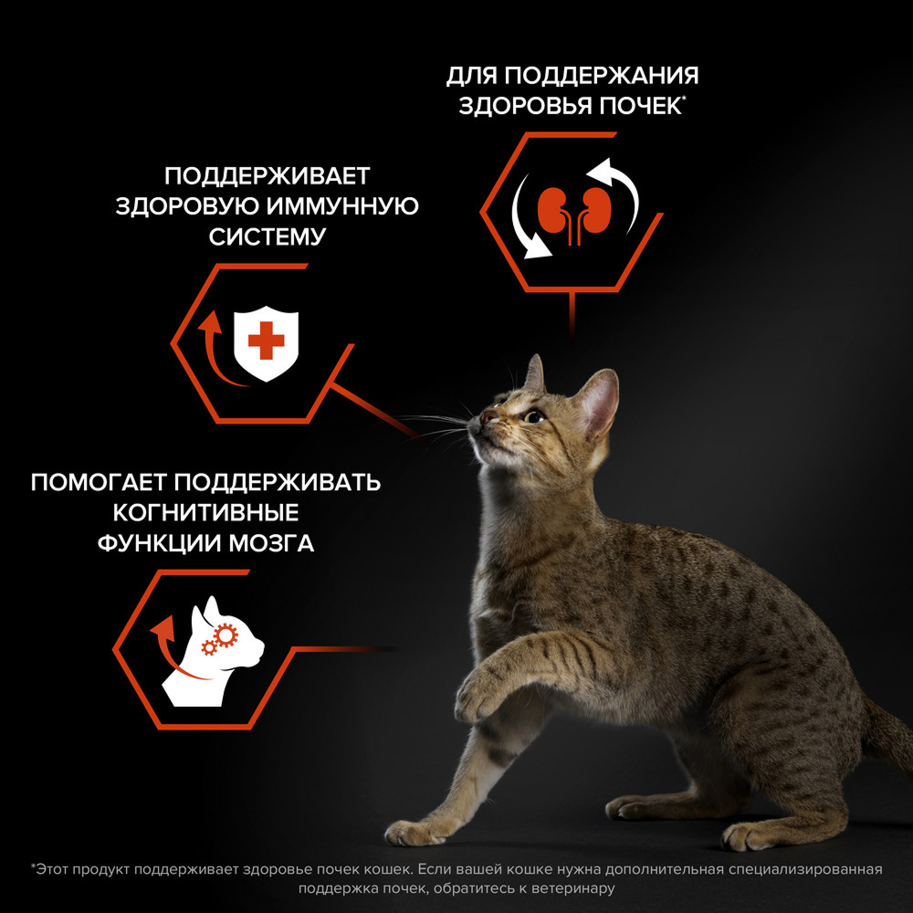 Сухой корм PRO PLAN для кошек, с лососем, 400 г