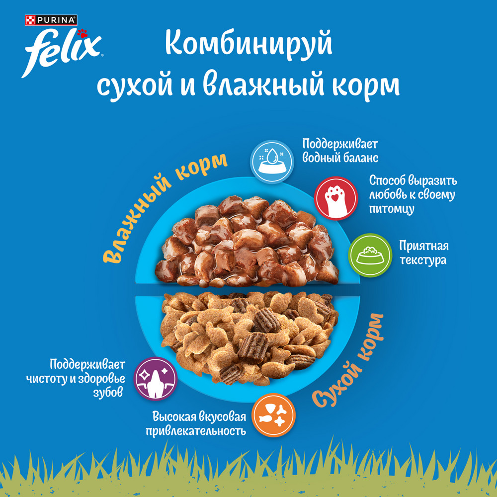 Влажный корм Felix Природа вкуса для взрослых кошек, с курицей в соусе, 75 г