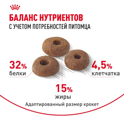 Royal Canin FIT 4кг