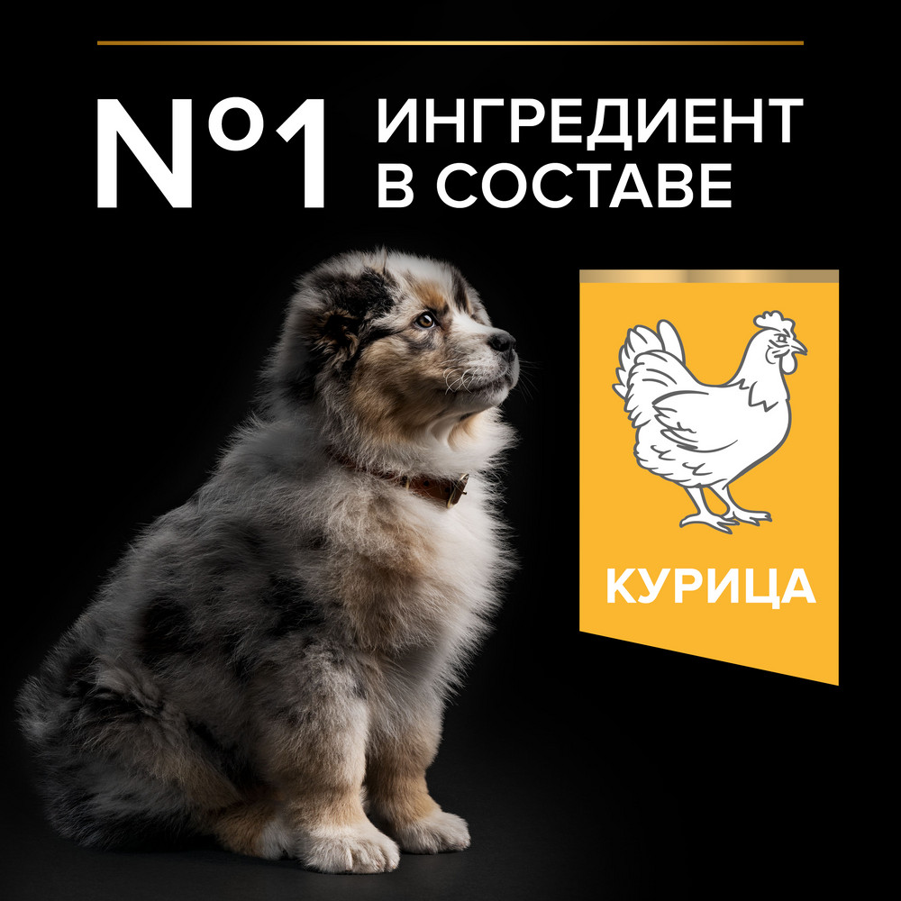 Сухой корм PRO PLAN для щенков средних пород, с курицей, 12 кг