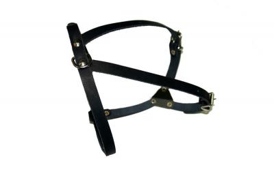 Шлейка Аркон М 13мм*35-57см (Пикинес, Болонка) Черная