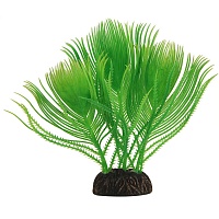 Растение Laguna 1683 "Эгерия" зеленая, 15см