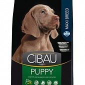 Cibau Puppy Maxi 2,5кг