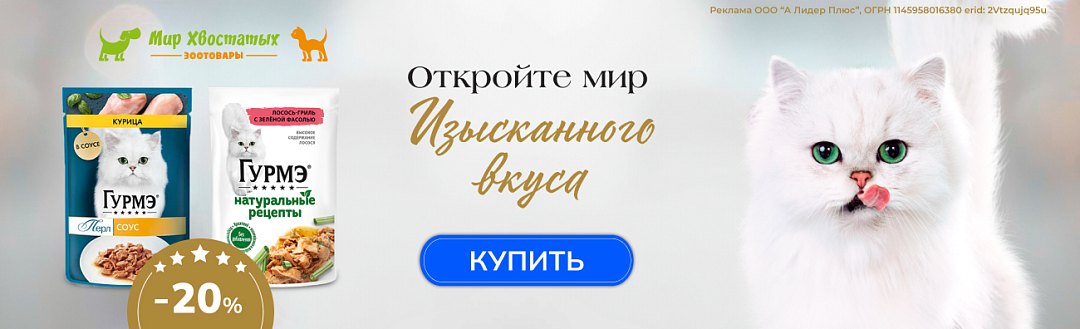 Гурмэ паучи