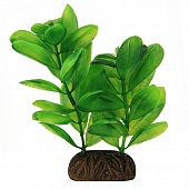 Растение Laguna 1363 "Самолюс" зеленый, 10см