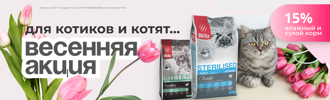 Blitz для кошек