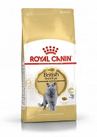 Royal Canin British shorthair 4,0