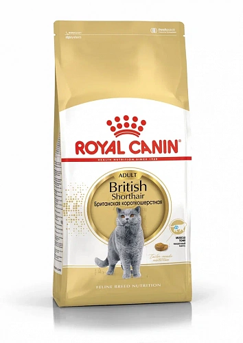 Royal Canin British shorthair 4,0