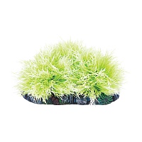 Растение Laguna 0901AR с распылителем "Куст" светло-зеленый, 17х17х8см