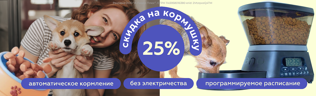 Акция на автоматическую кормушку